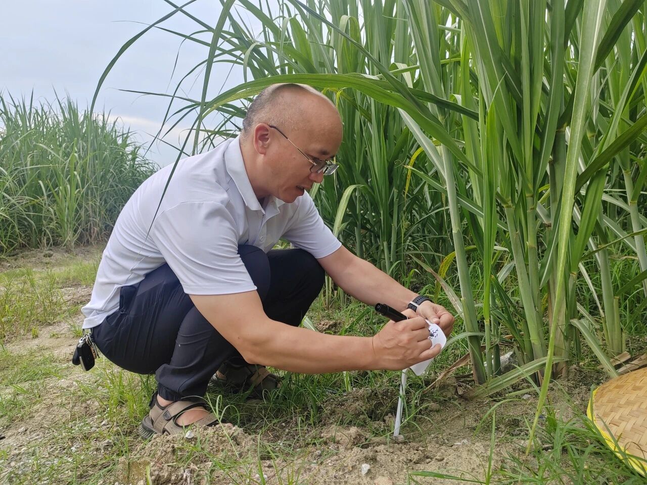 1757553622909404.jpg 微信圖片_2025-09-11_091904_612.jpg